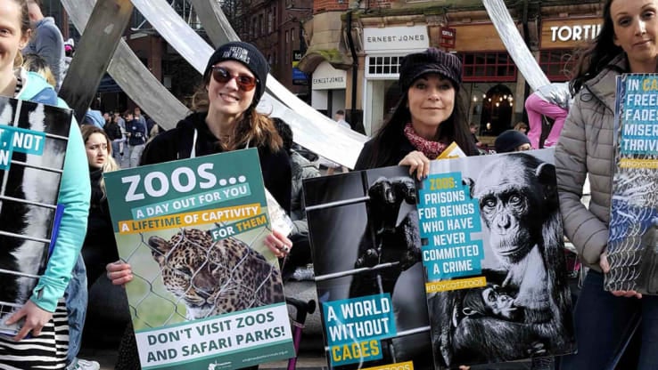 Take Action for Zoo Awareness Weekend 2025!