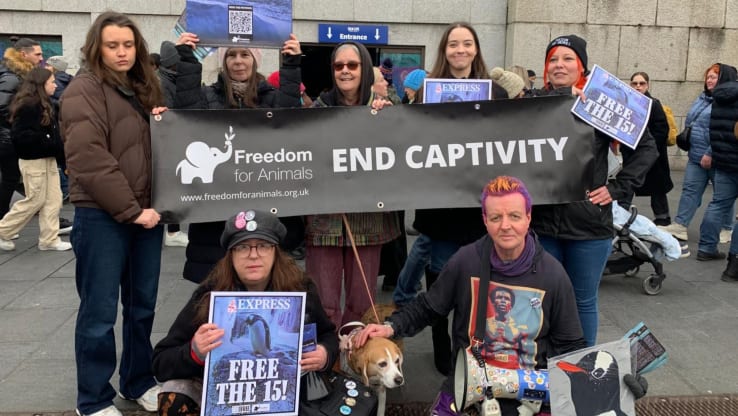Success in our Weekend of Action for the Sea Life Penguins