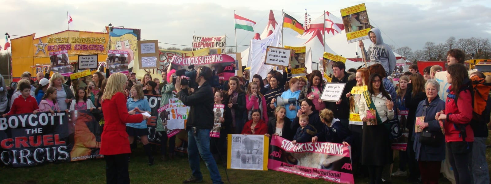 Take Action Against Animal Circuses