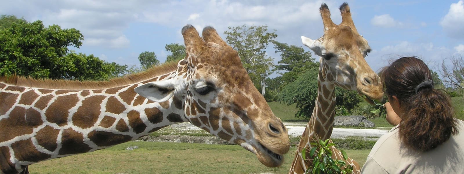 Virgin Experience Days - Stop Selling Animal Encounters!